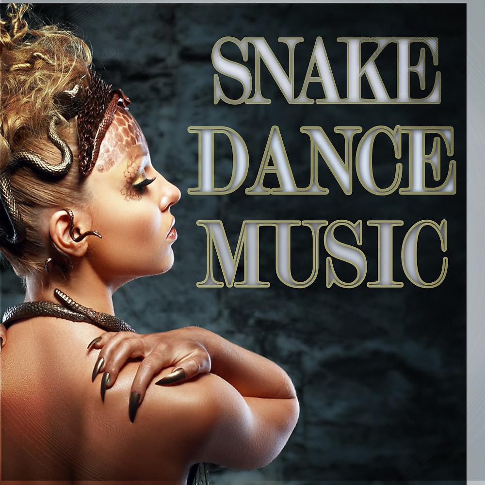 Постер альбома Snake Dance Music