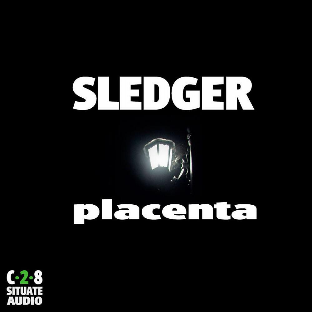 Sledger - Placenta (Original Mix)