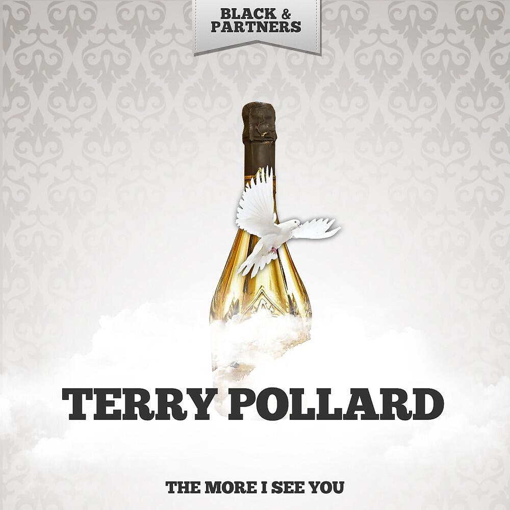 Terry Pollard - The More I See You (Original Mix)