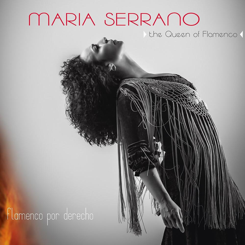 Постер альбома Flamenco por Derecho