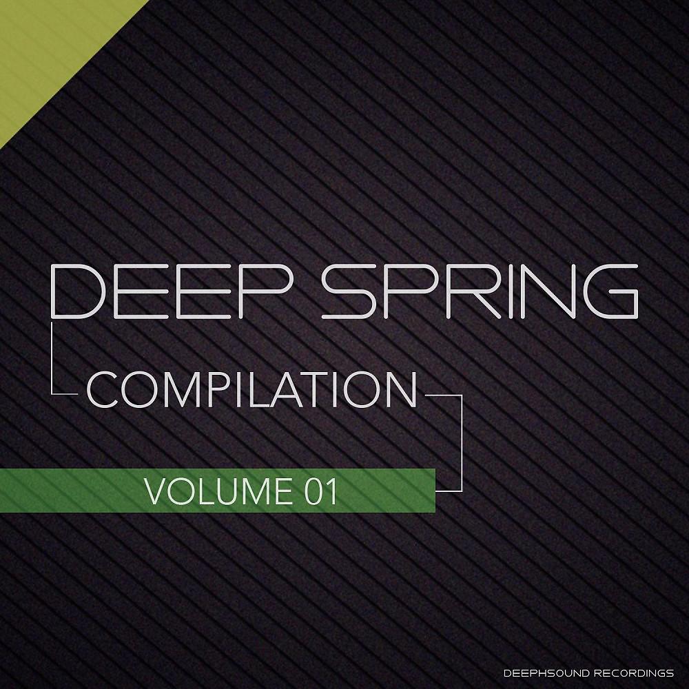 Постер альбома Deep Spring - Compilation Vol. 1