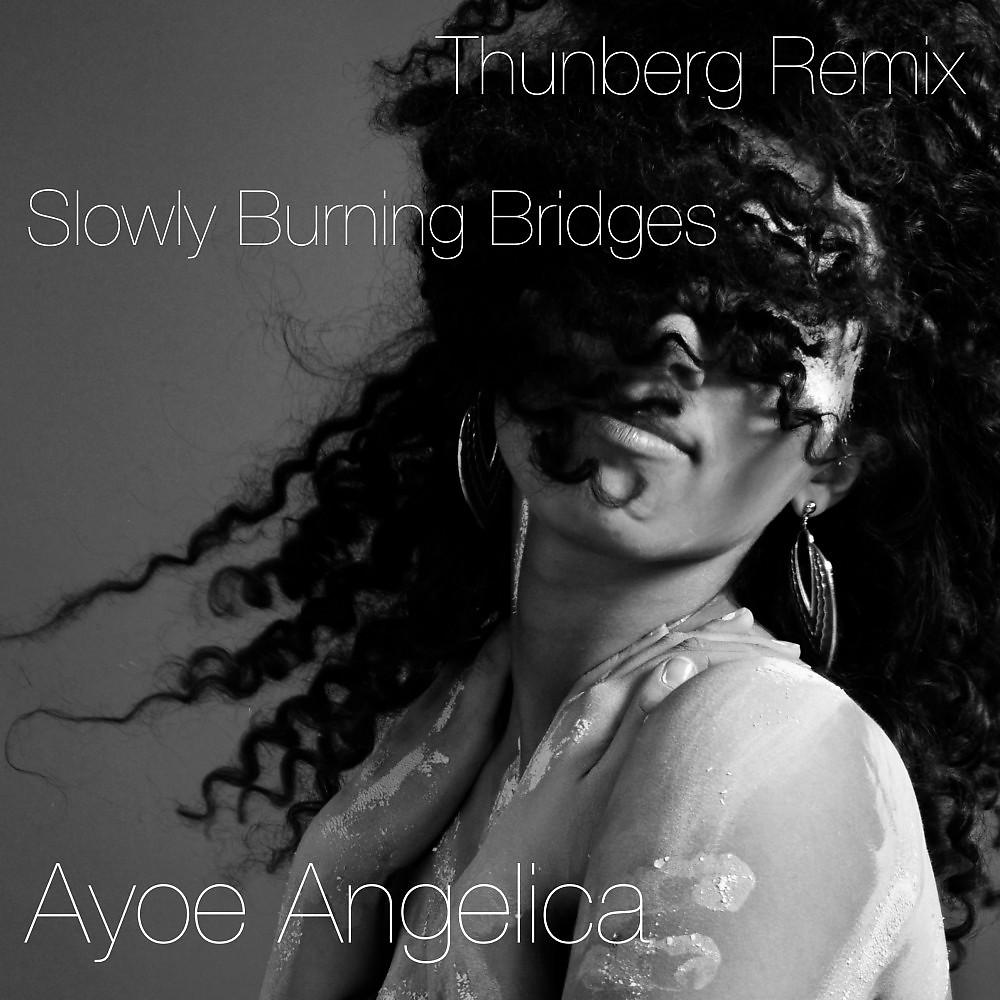 Постер альбома Slowly Burning Bridges (Thunberg Remix)