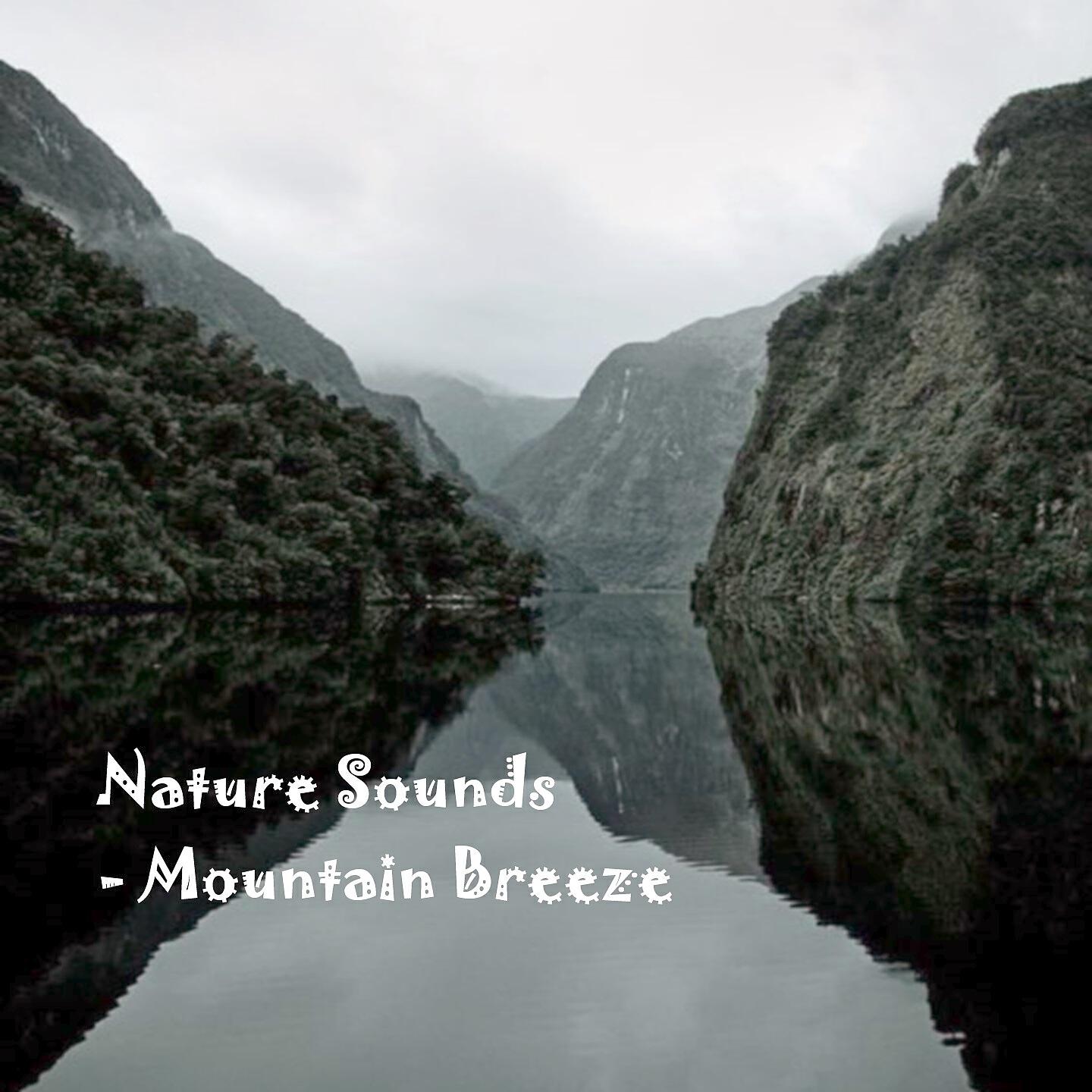 Nature Sounds - The Heights