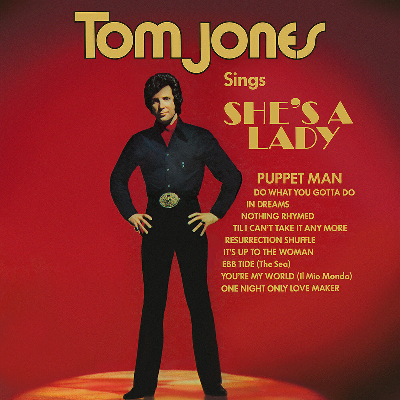 Tom Jones - Nothing Rhymed