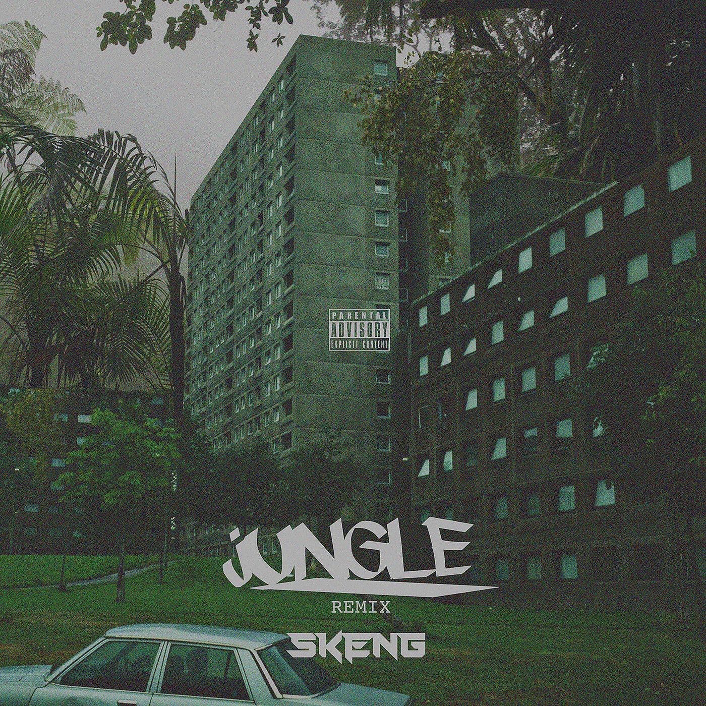 Skeng - Jungle (Remix)