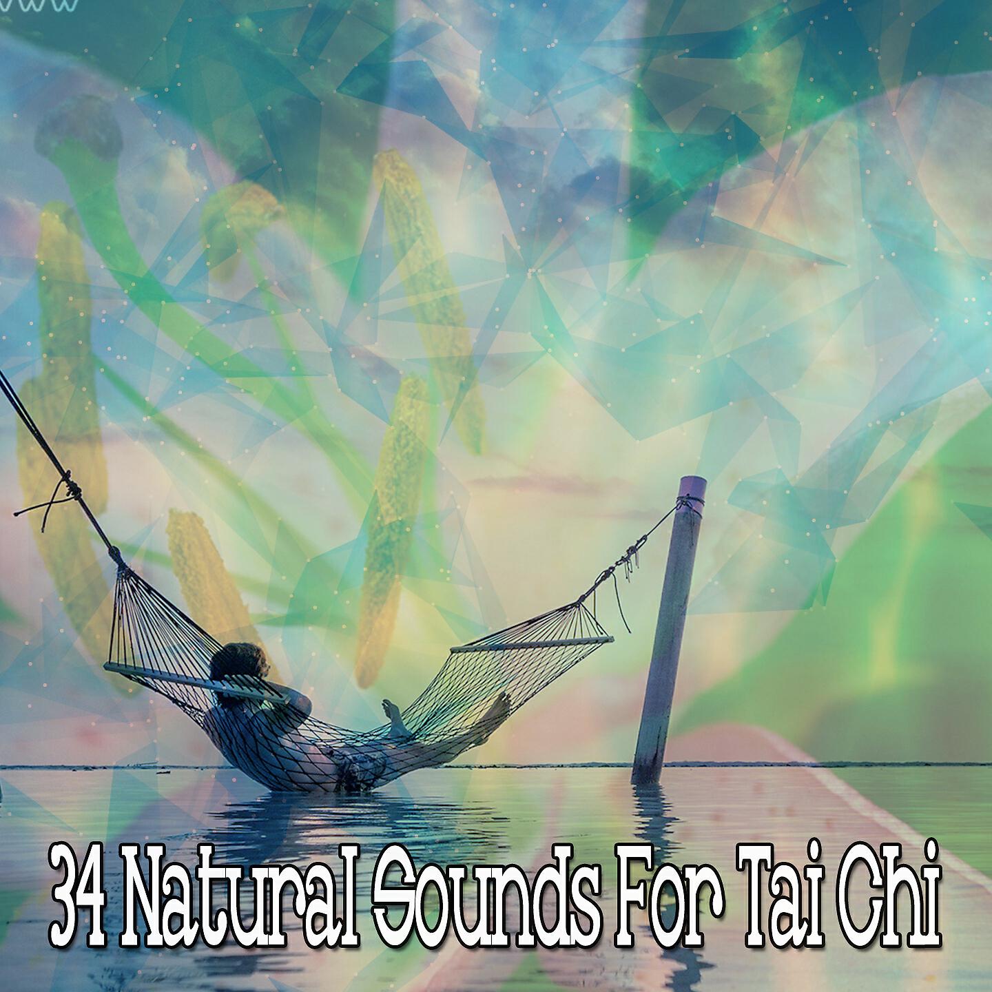 Asian Zen Spa Music Meditation - Soothing Adventure