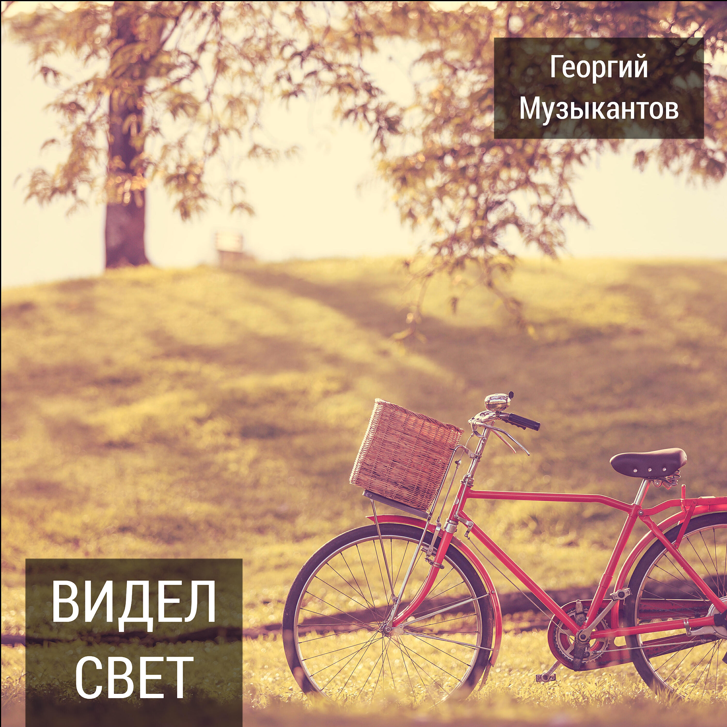 Георгий Музыкантов - Он видел свет