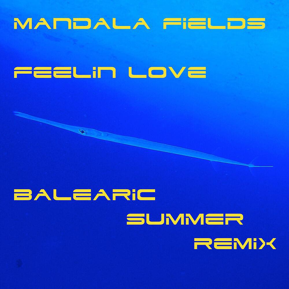 Mandala Fields - Feelin Love (Balearic Summer Remix)