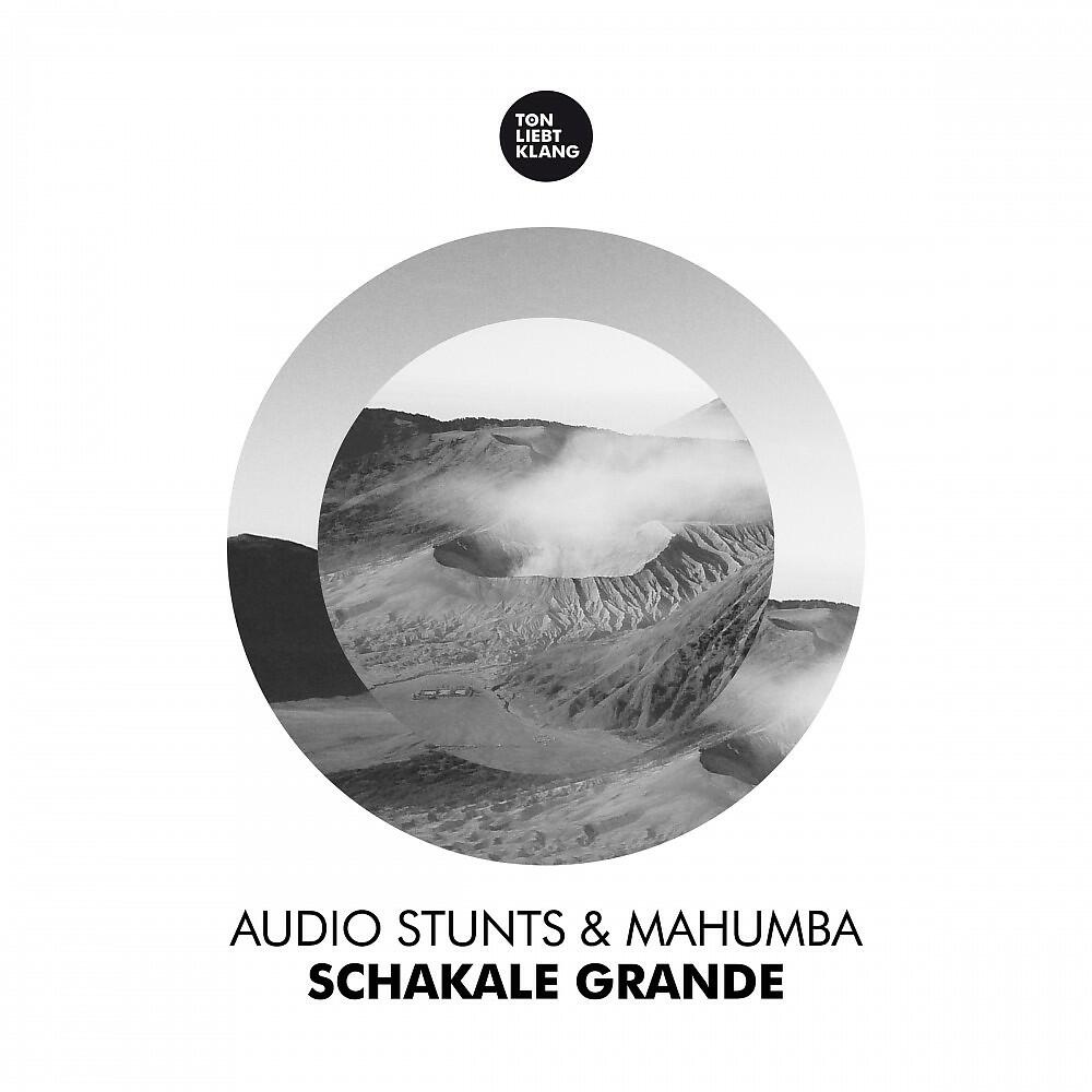 Audio Stunts & Mahumba - Schakale Grande (Cryztjow's N.Y. House Remix)