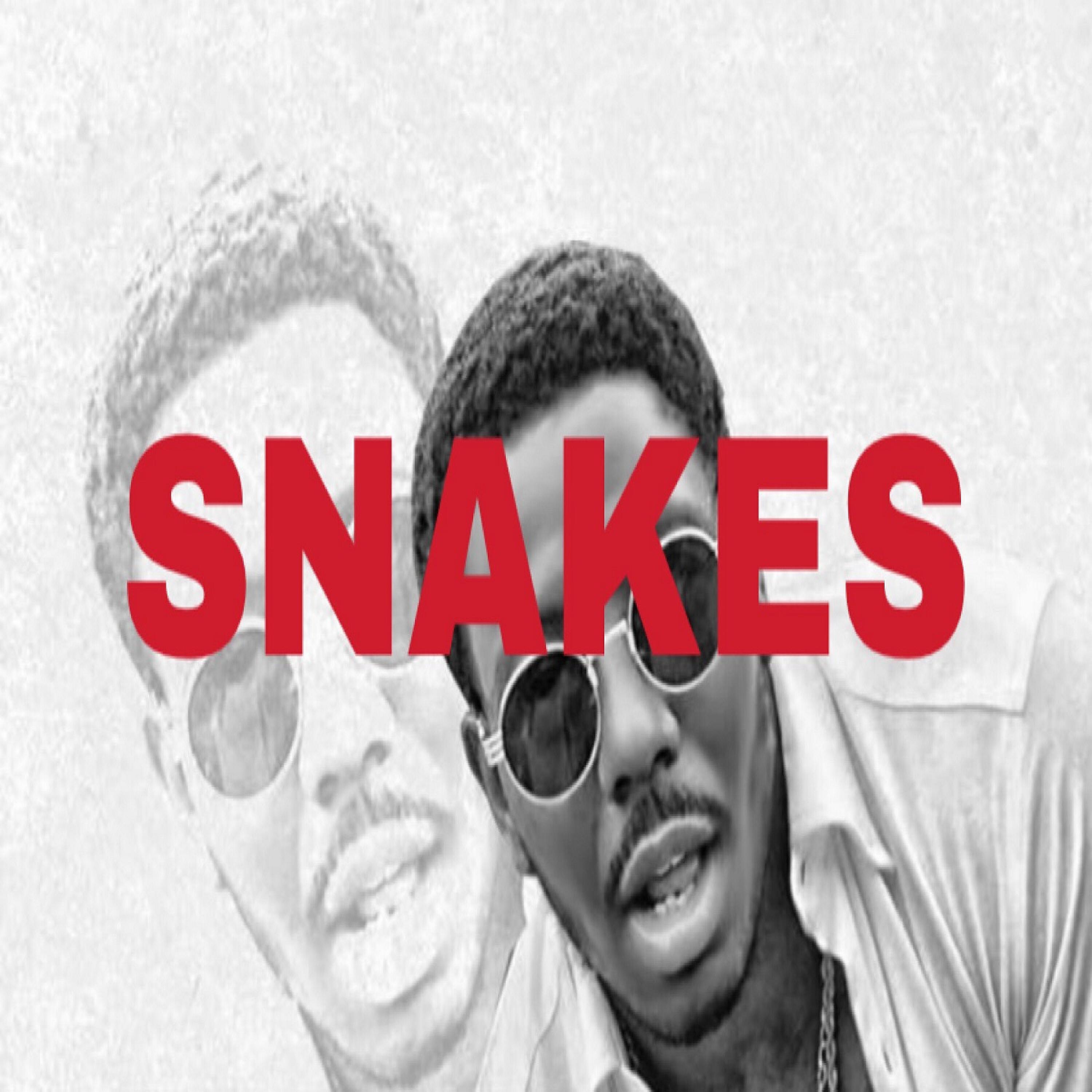 B.Surius - Snakes