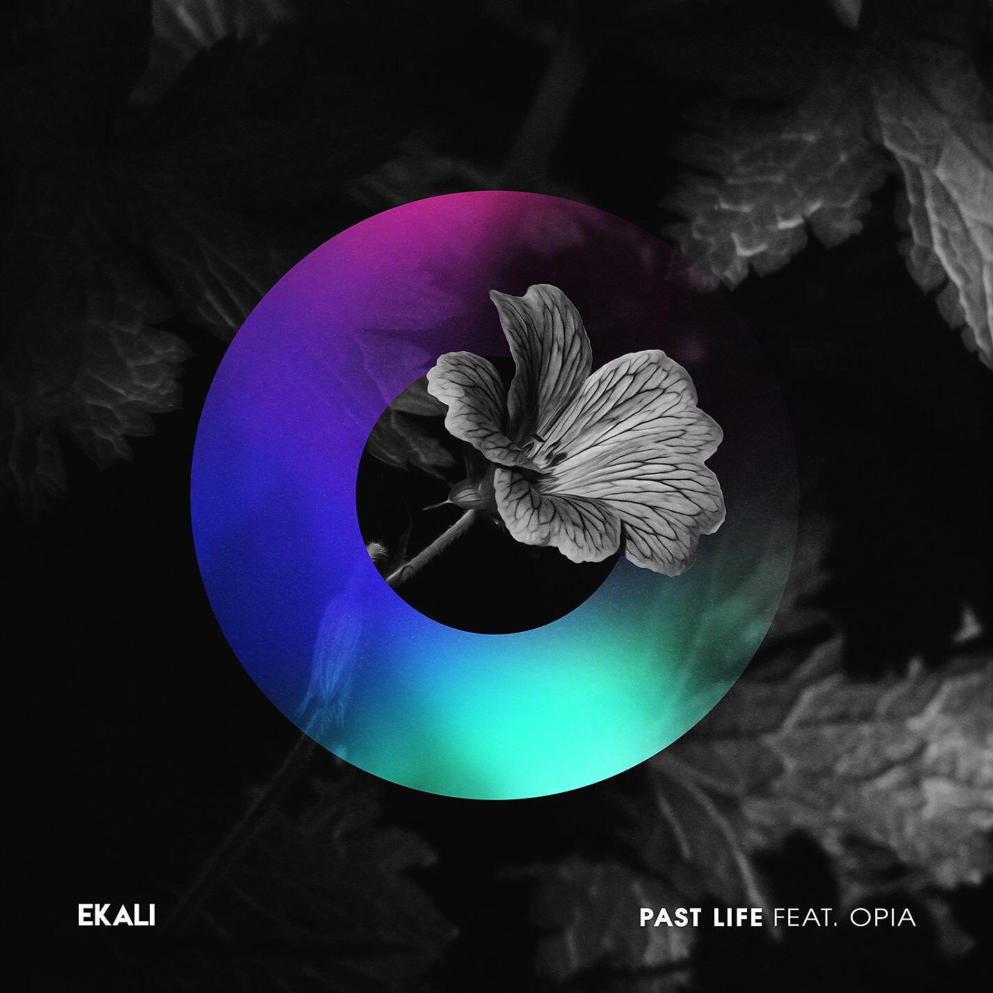 Ekali - Past Life (feat. Opia)