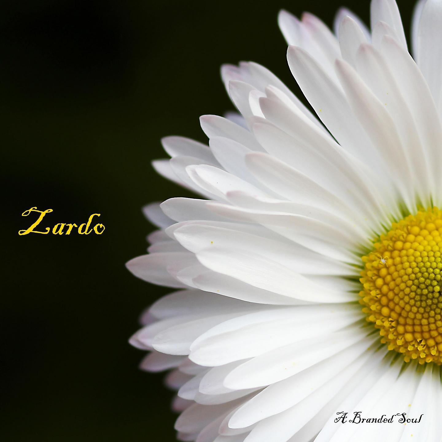 Постер альбома Zardo