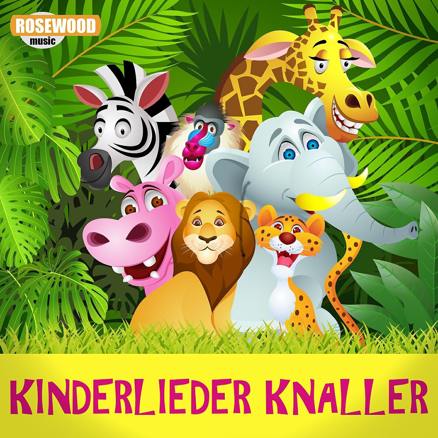 Kiddy Cats - Der Gute-Laune-Bär