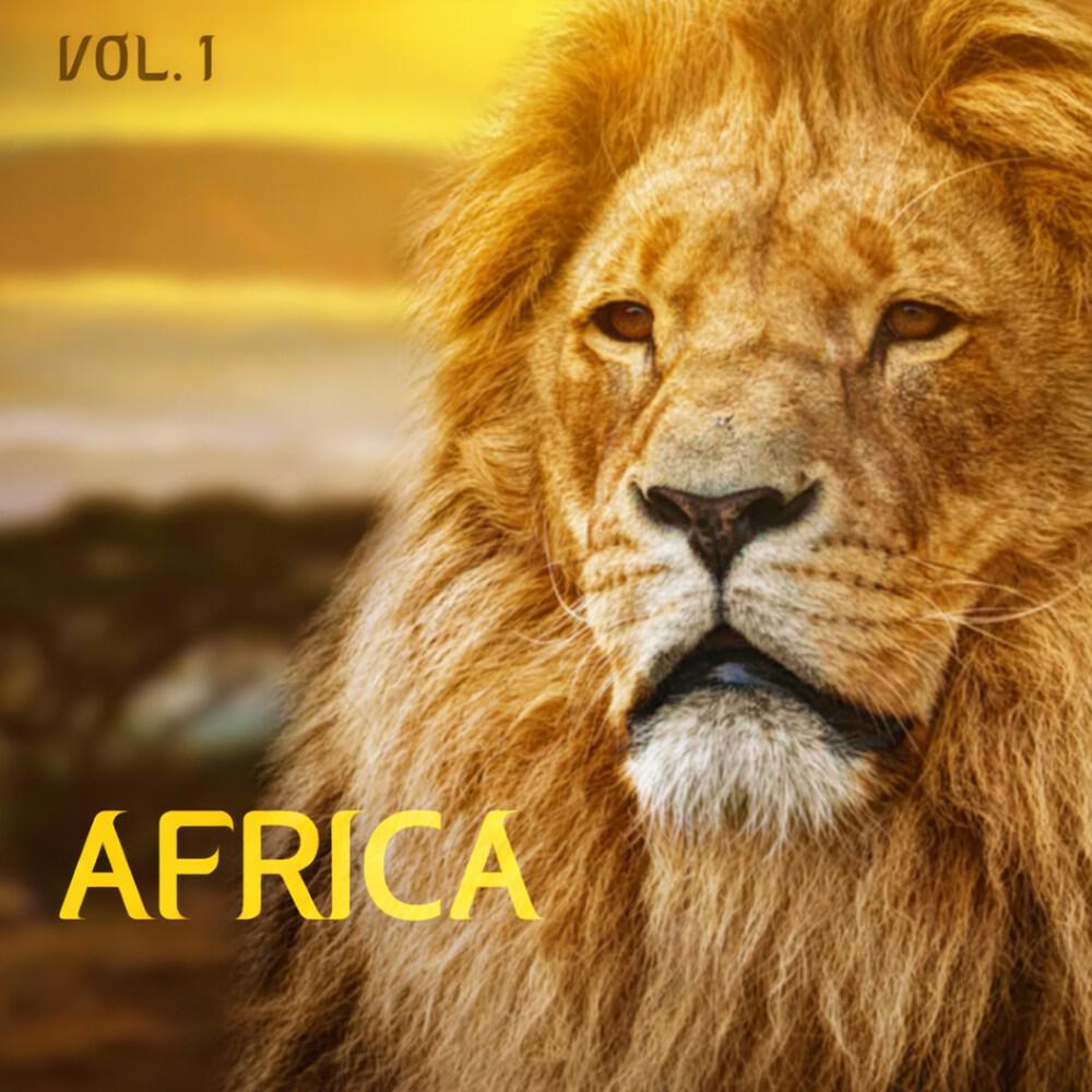 Ray Stonewood - Sound of Sahara