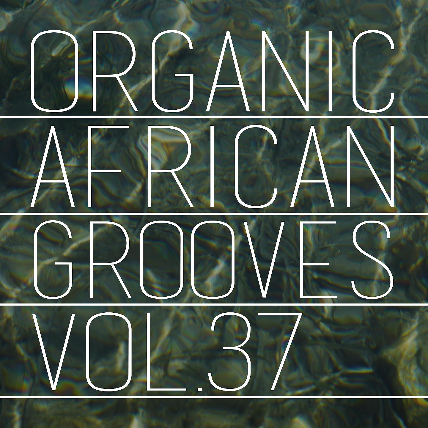 Постер альбома Organic African Grooves, Vol.37