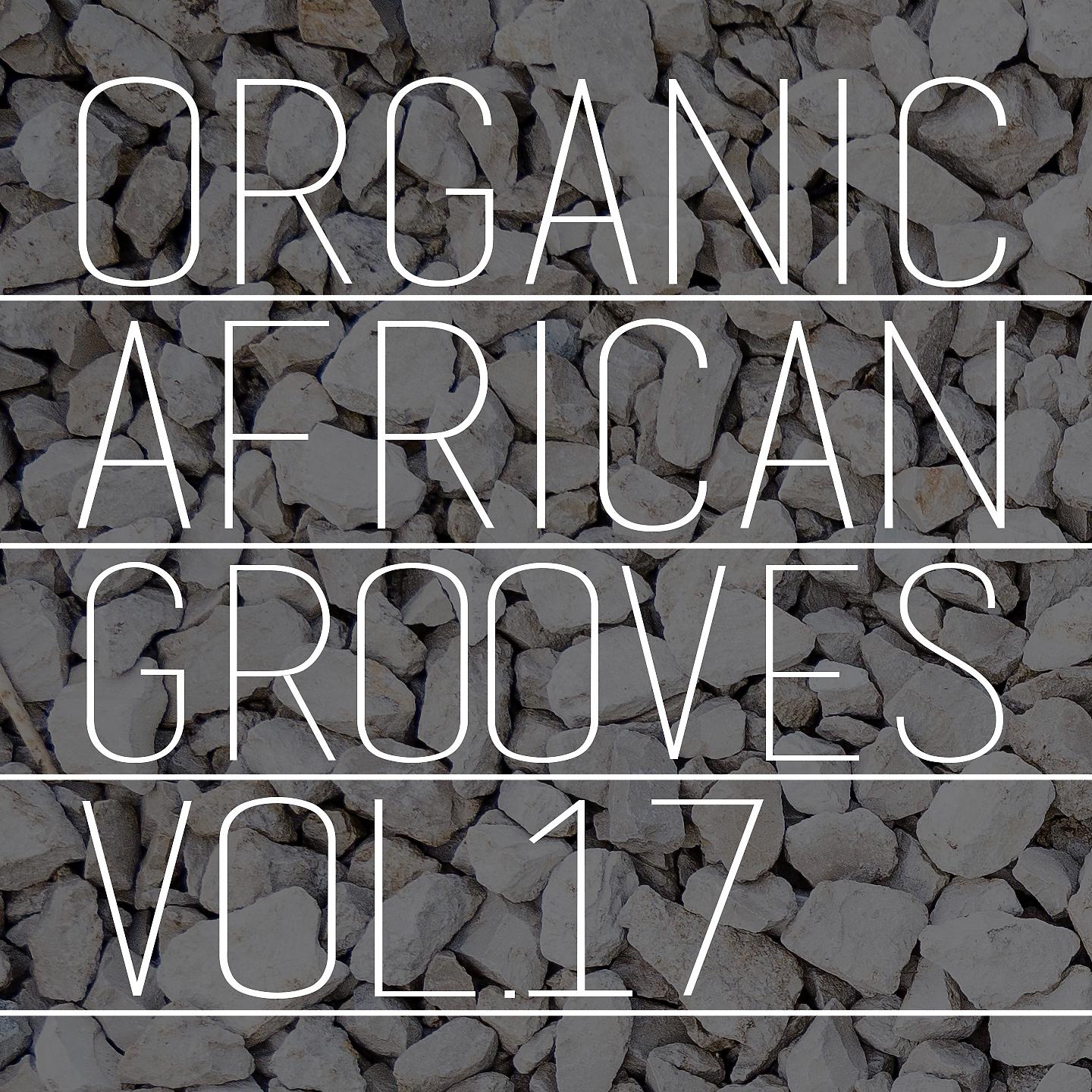 Постер альбома Organic African Grooves, Vol.17