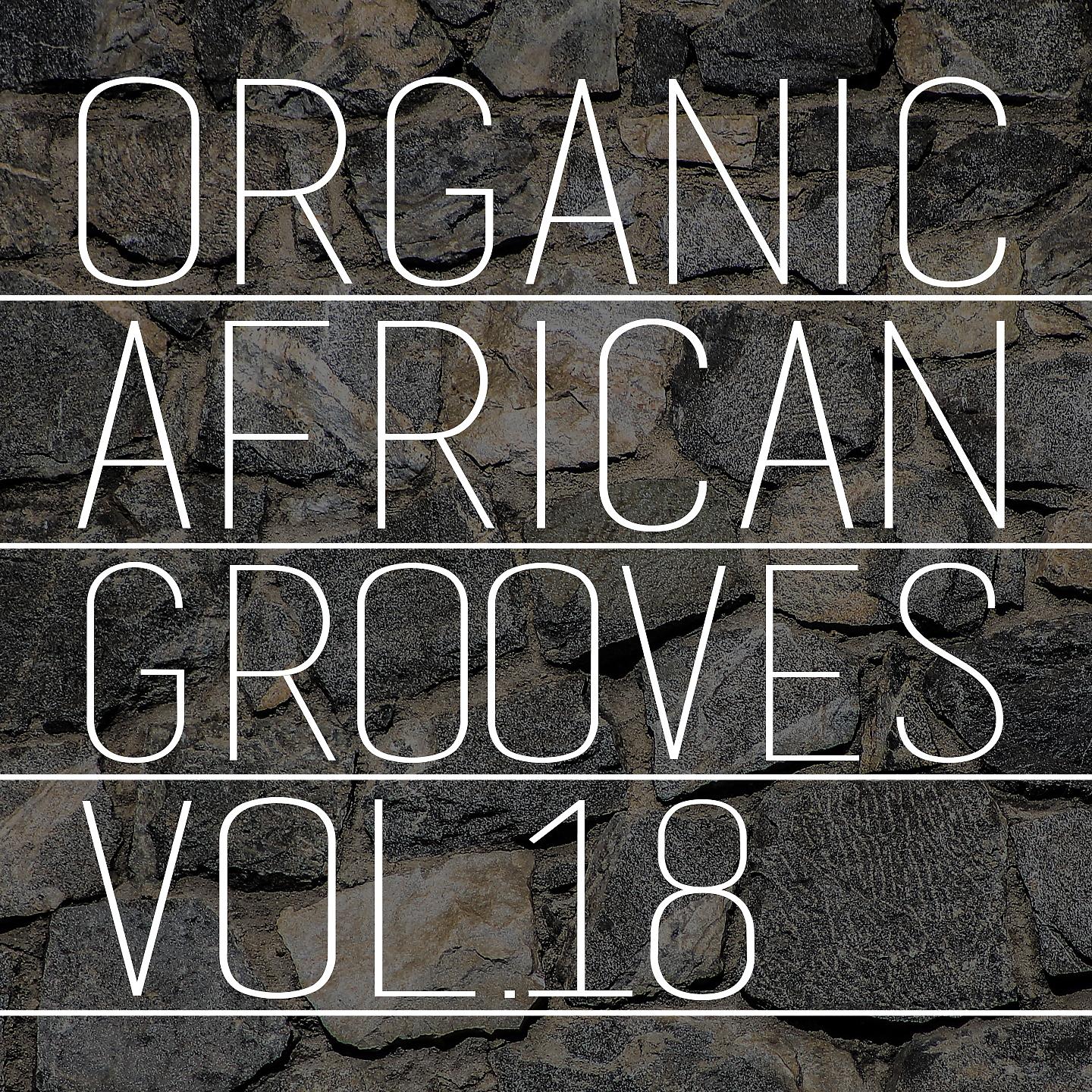 Постер альбома Organic African Grooves, Vol.18