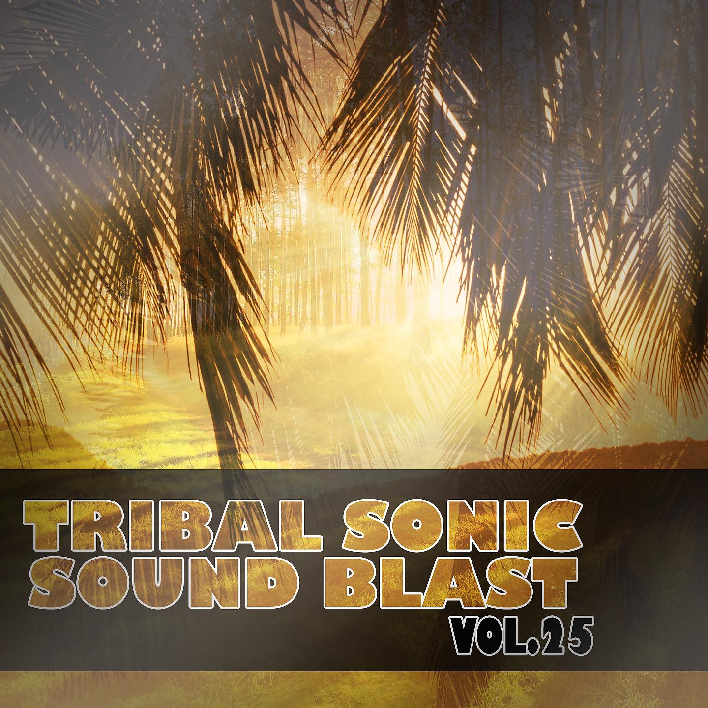 Постер альбома Tribal Sonic Soundblast,Vol.25