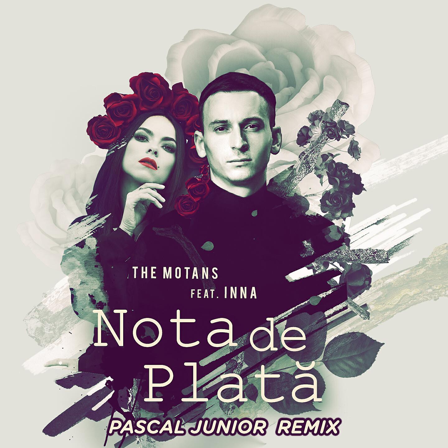 The Motans - Nota De Plata (Pascal Junior Remix)
