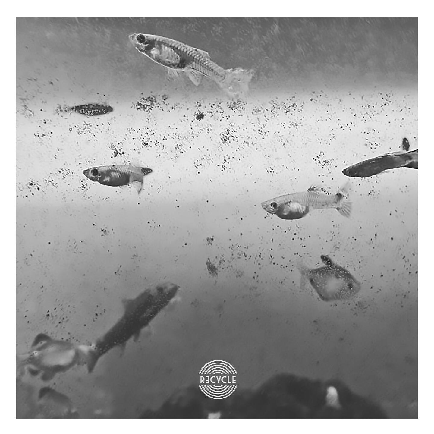 AFXS - Killer (Petros Odin Remix)