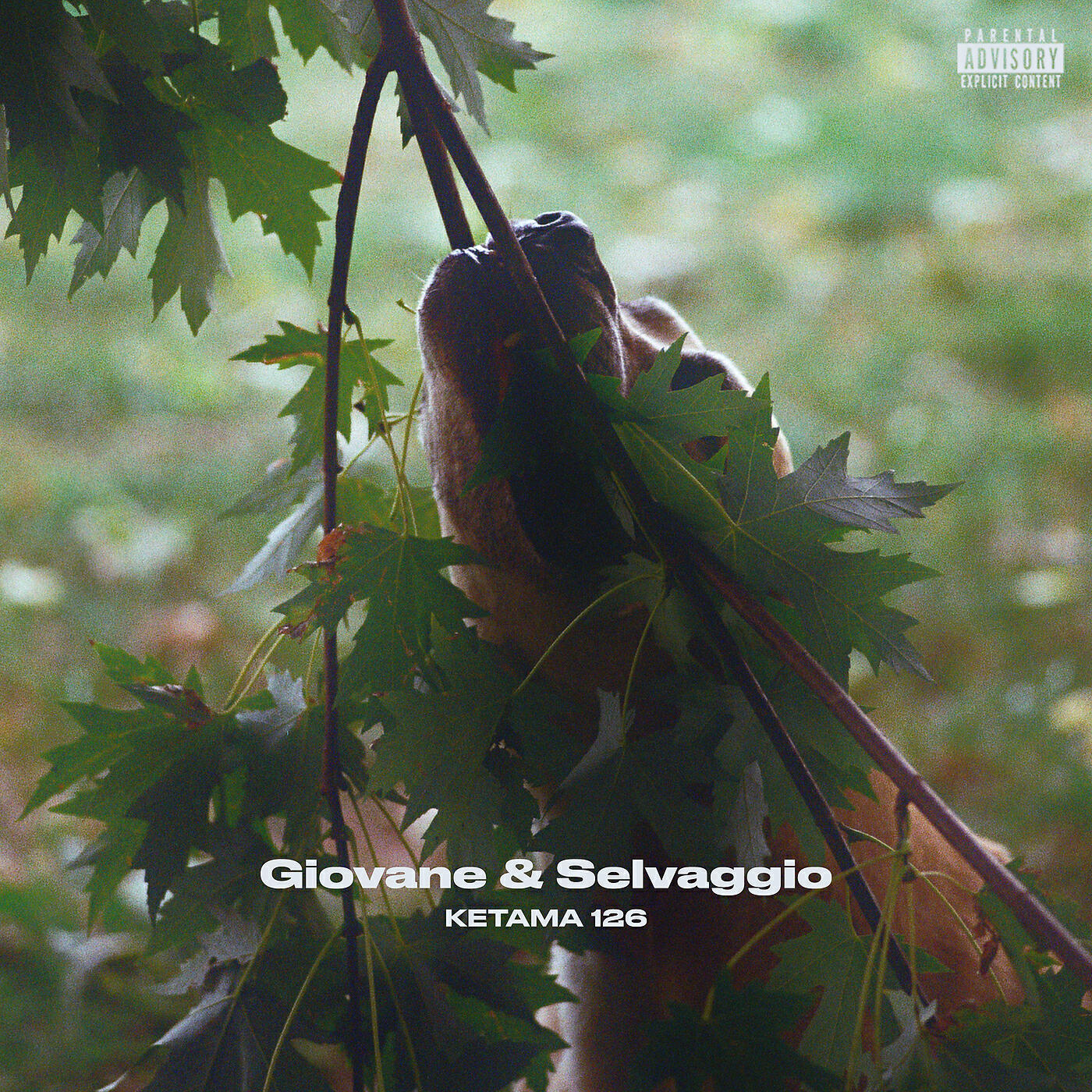 Ketama126 - Giovane e Selvaggio