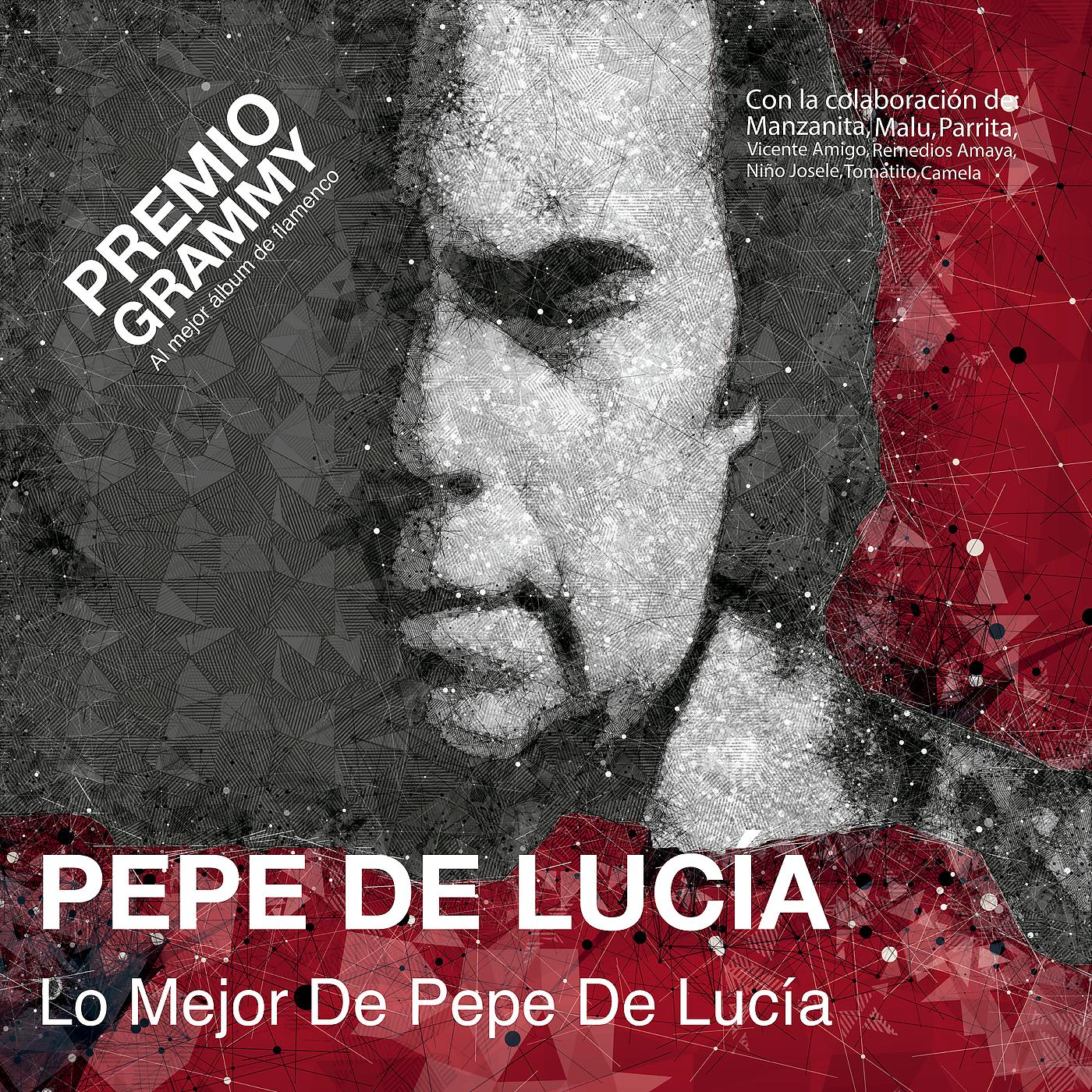 Постер альбома Lo Mejor De Pepe De Lucía