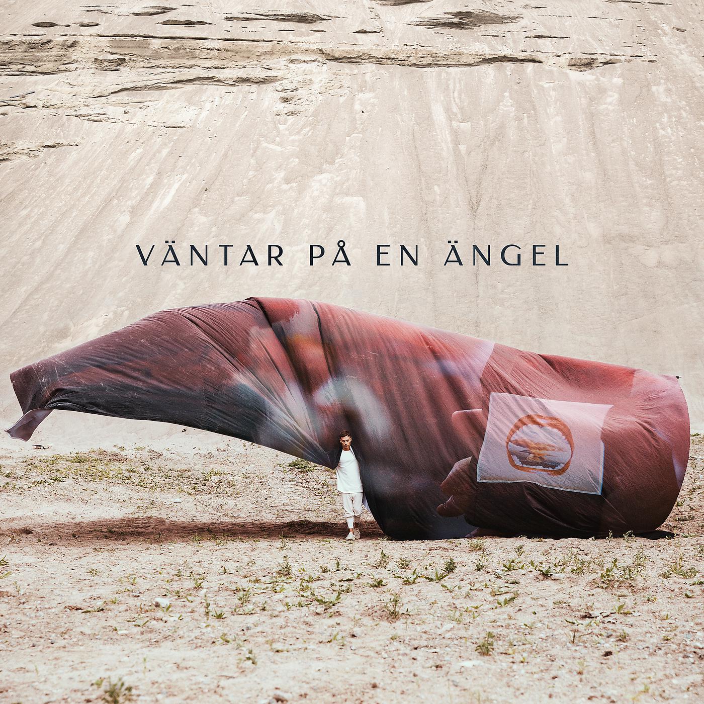 Постер альбома Väntar på en Ängel