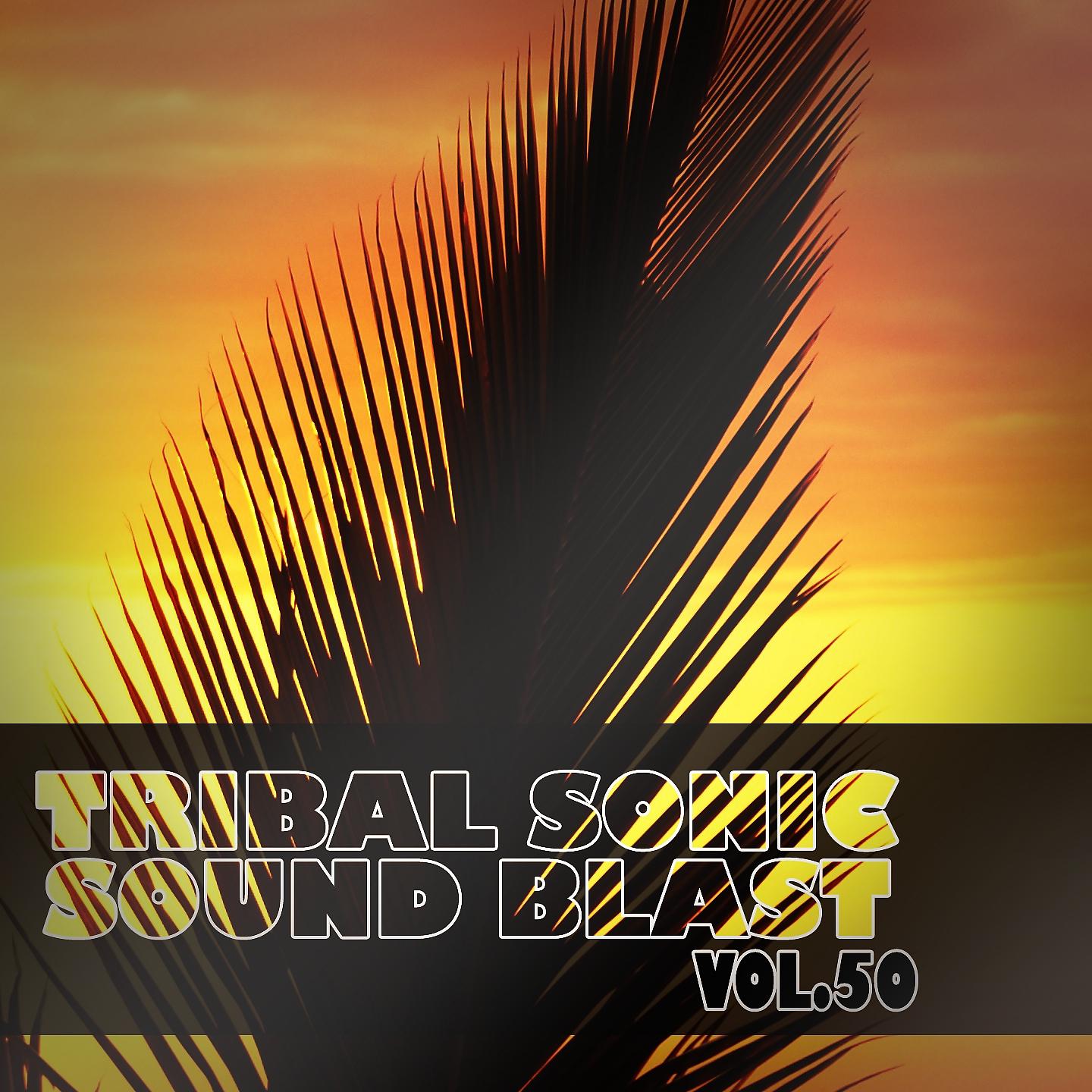 Постер альбома Tribal Sonic Soundblast,Vol.50