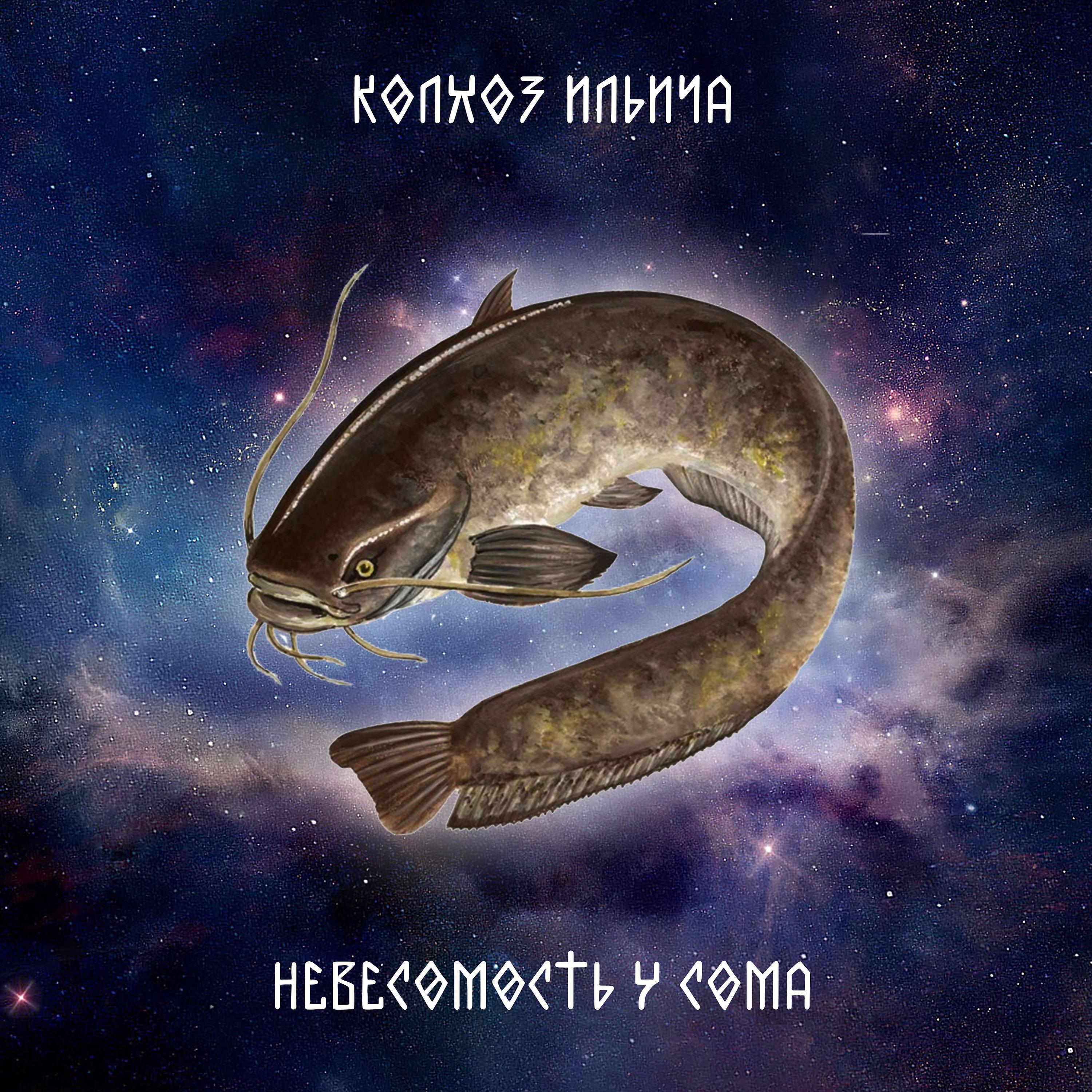 Колхоз Ильича - Новинка