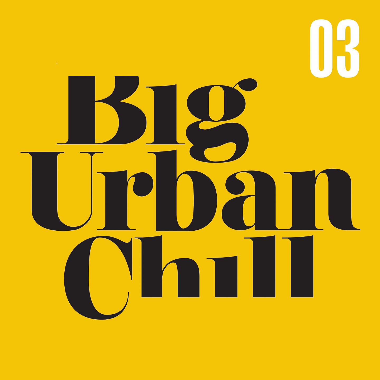 Постер альбома Big Urban Chill 3
