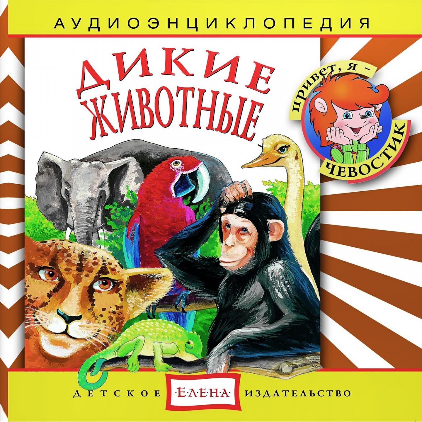 Чевостик - Леопард, гепард, семейство кошачьих
