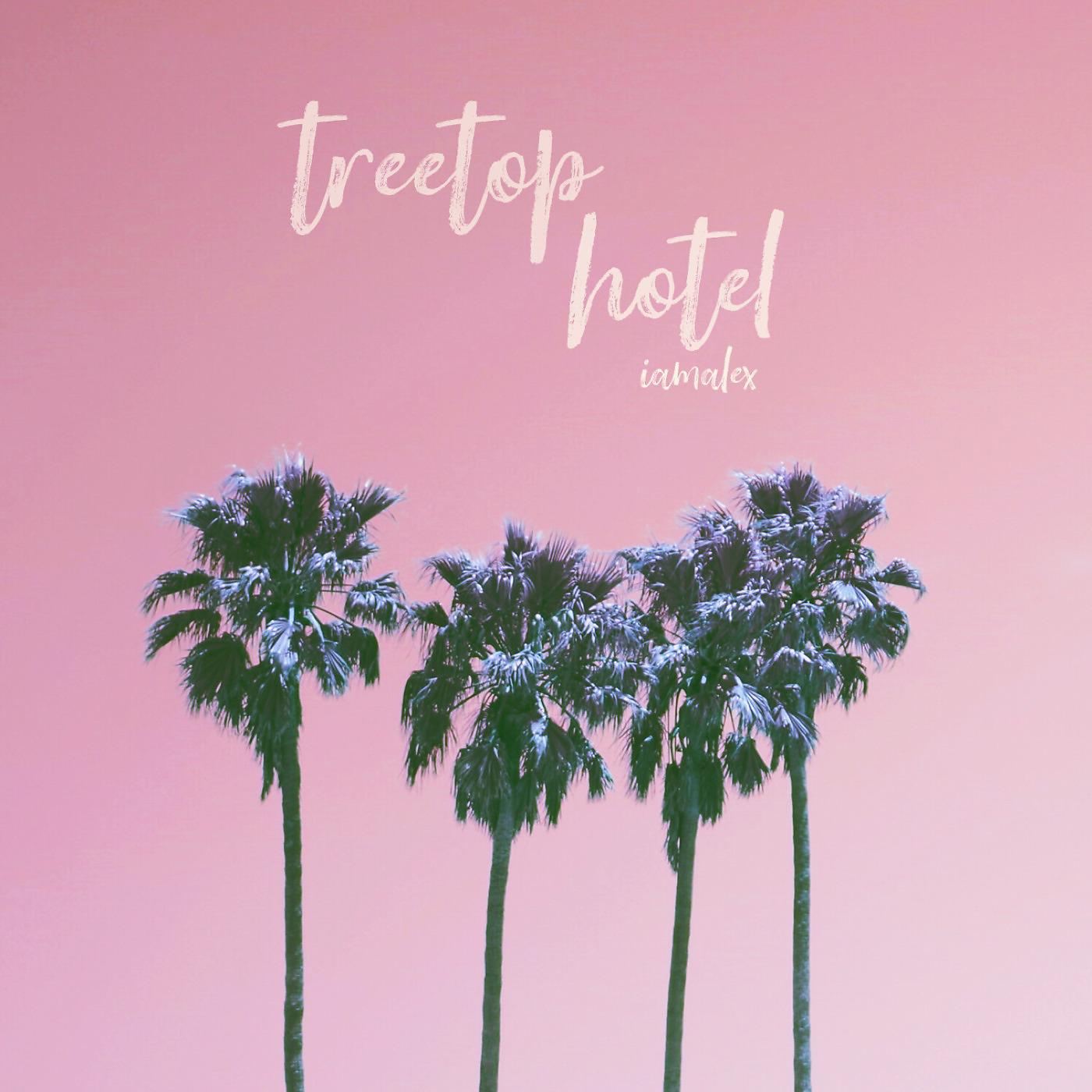 Постер альбома Treetop Hotel