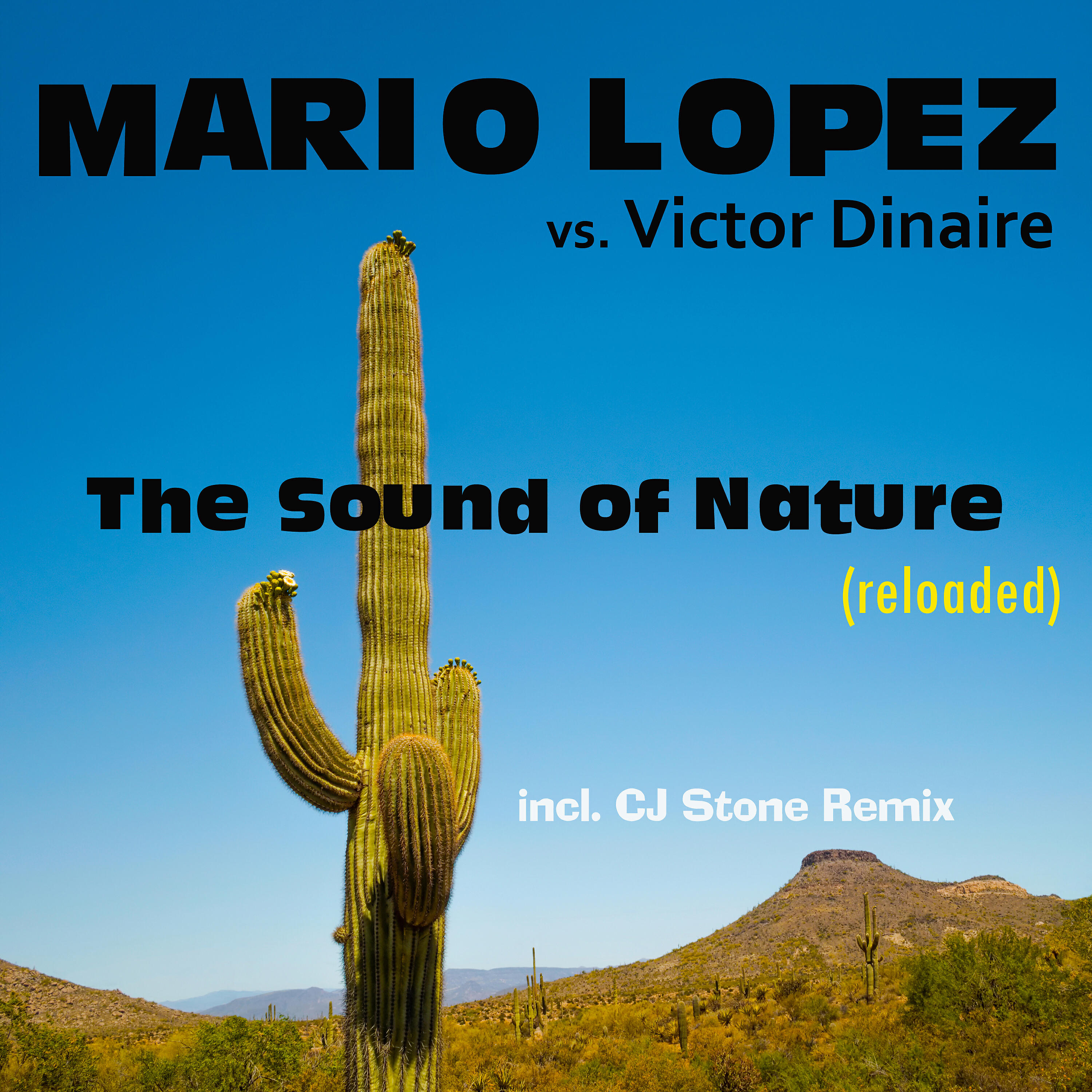 Mario Lopez - The Sound of Nature (Pit Bailay Remix)