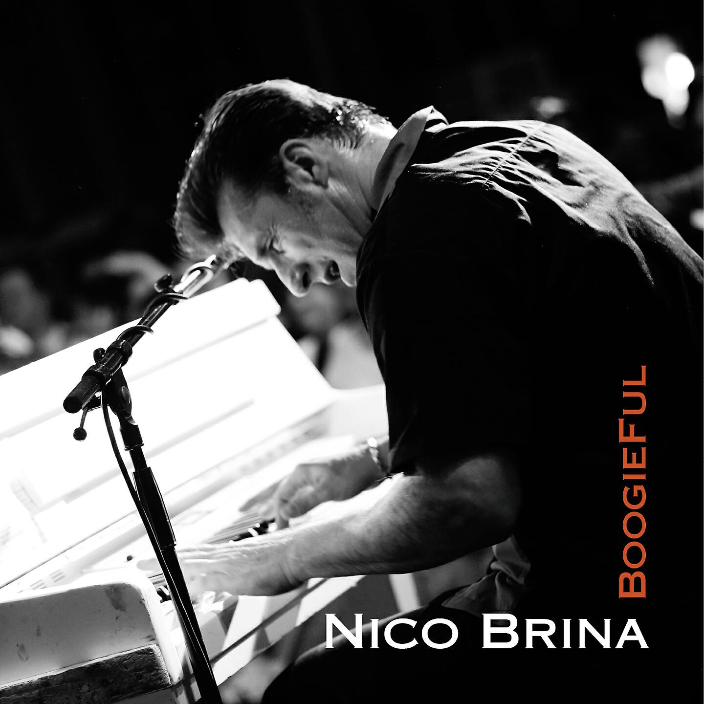 Nico Brina - Kansas City Donkey Stomp