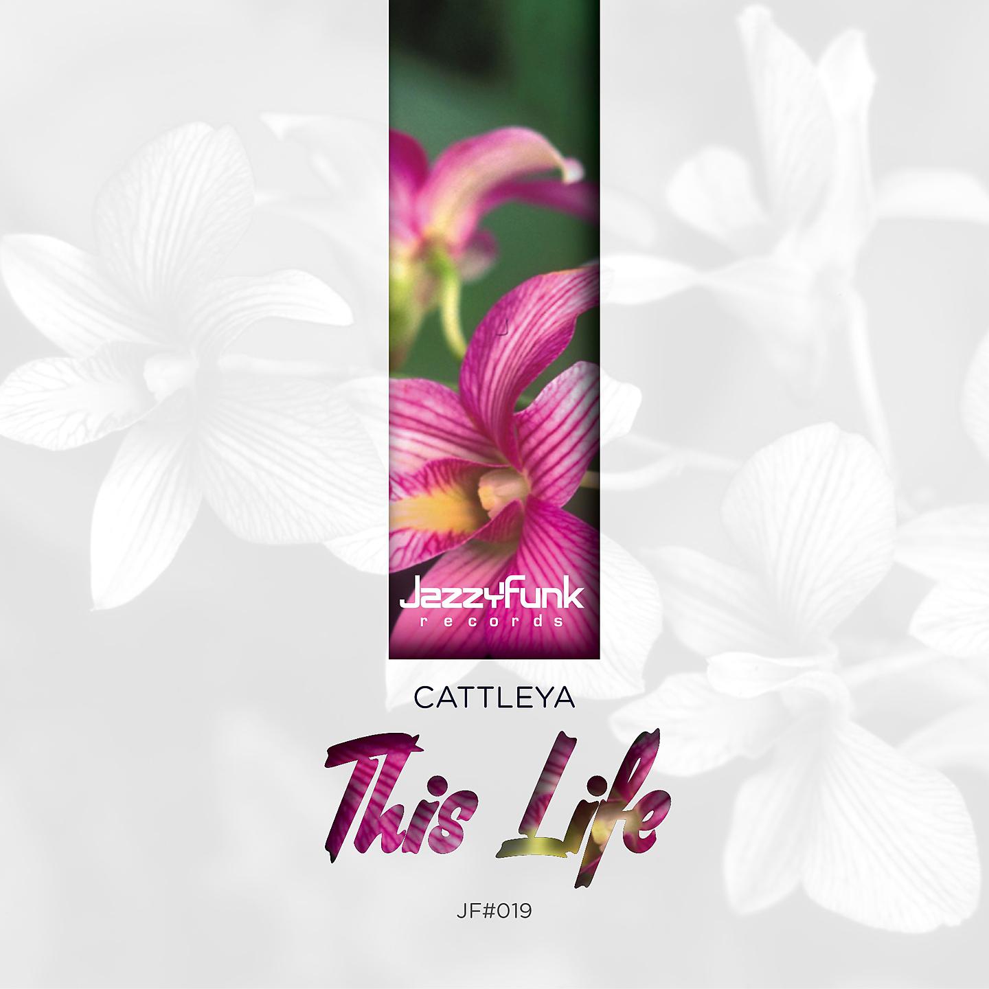 Постер альбома This Life