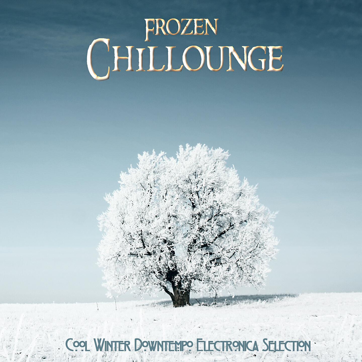 Fjord - Frozen Lightwaves (Ambient Chilltronic Mix)