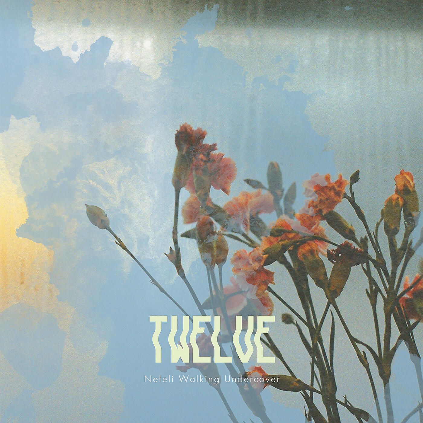 Nefeli Walking Undercover - January | 7am the Air Is Colored