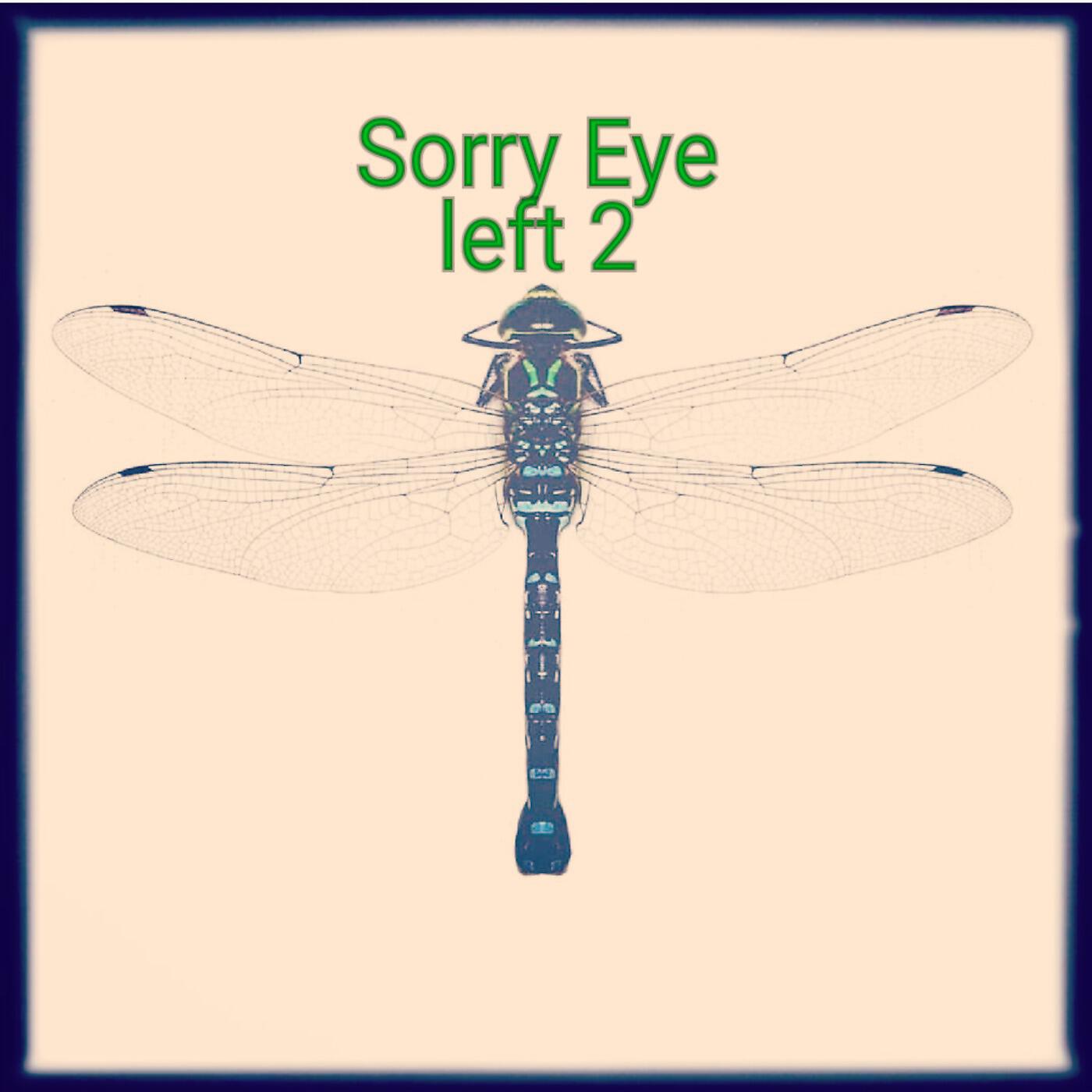 7Sevin - Sorry Eye Left 2