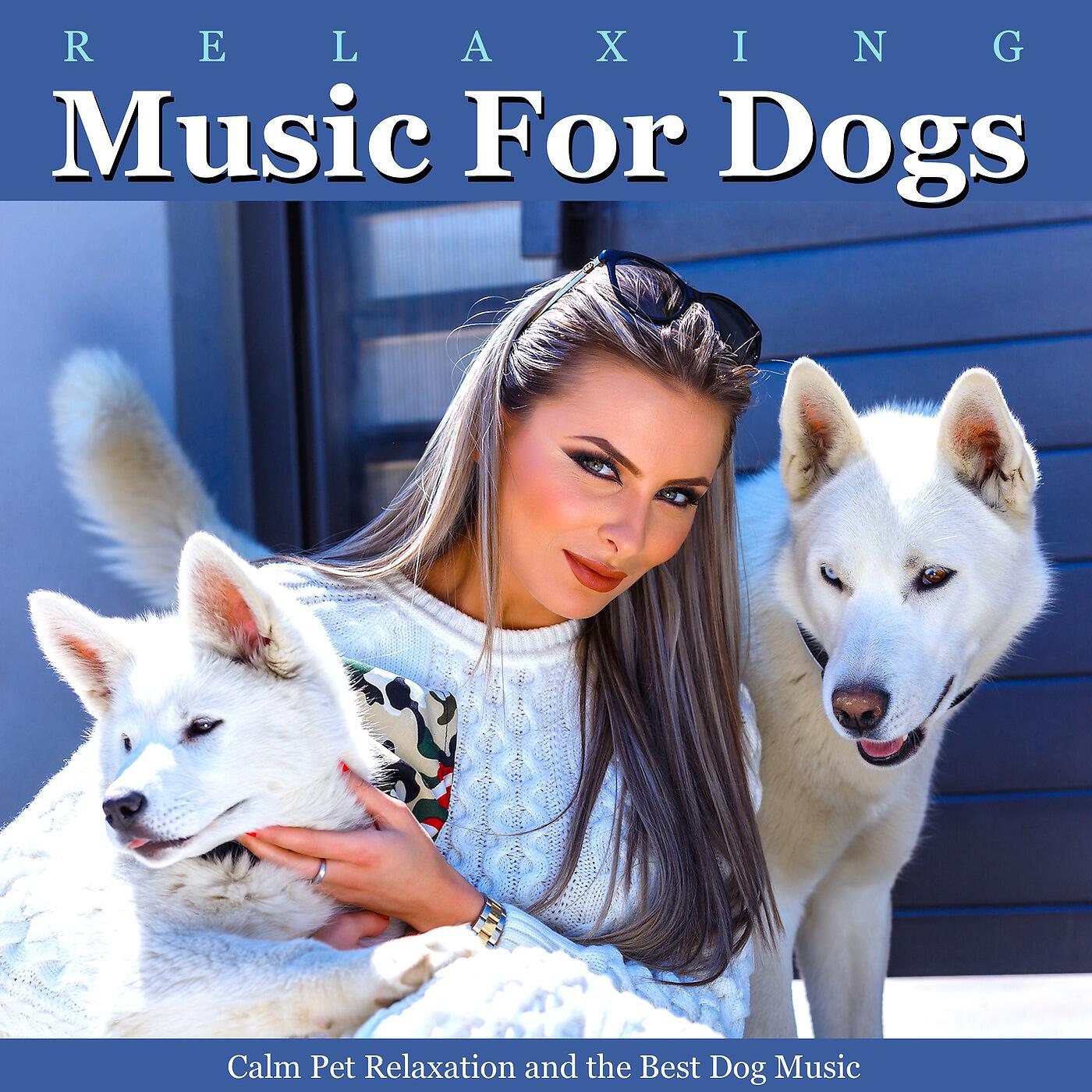 Dog Music - Calm Music for Pets (Puppies)