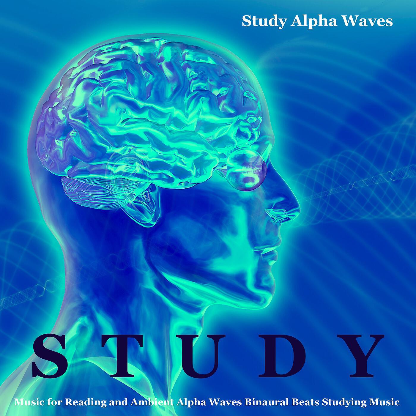 Study Alpha Waves - Studying and Focus Music