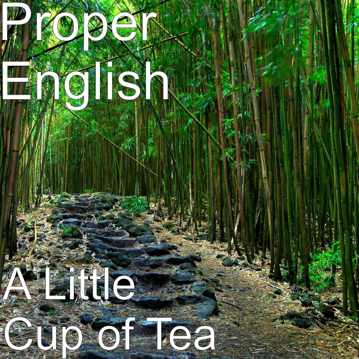 Proper English - Whinham's Reel