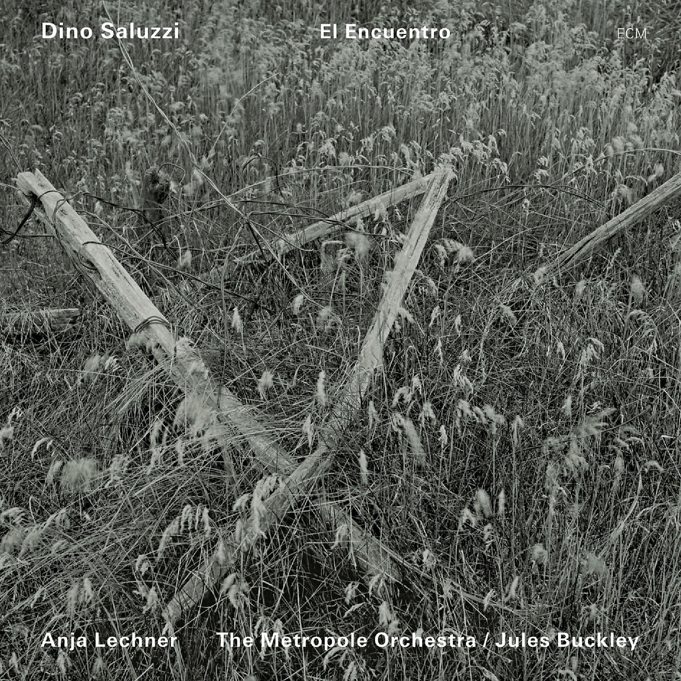 Dino Saluzzi - Plegaria Andina (Live)
