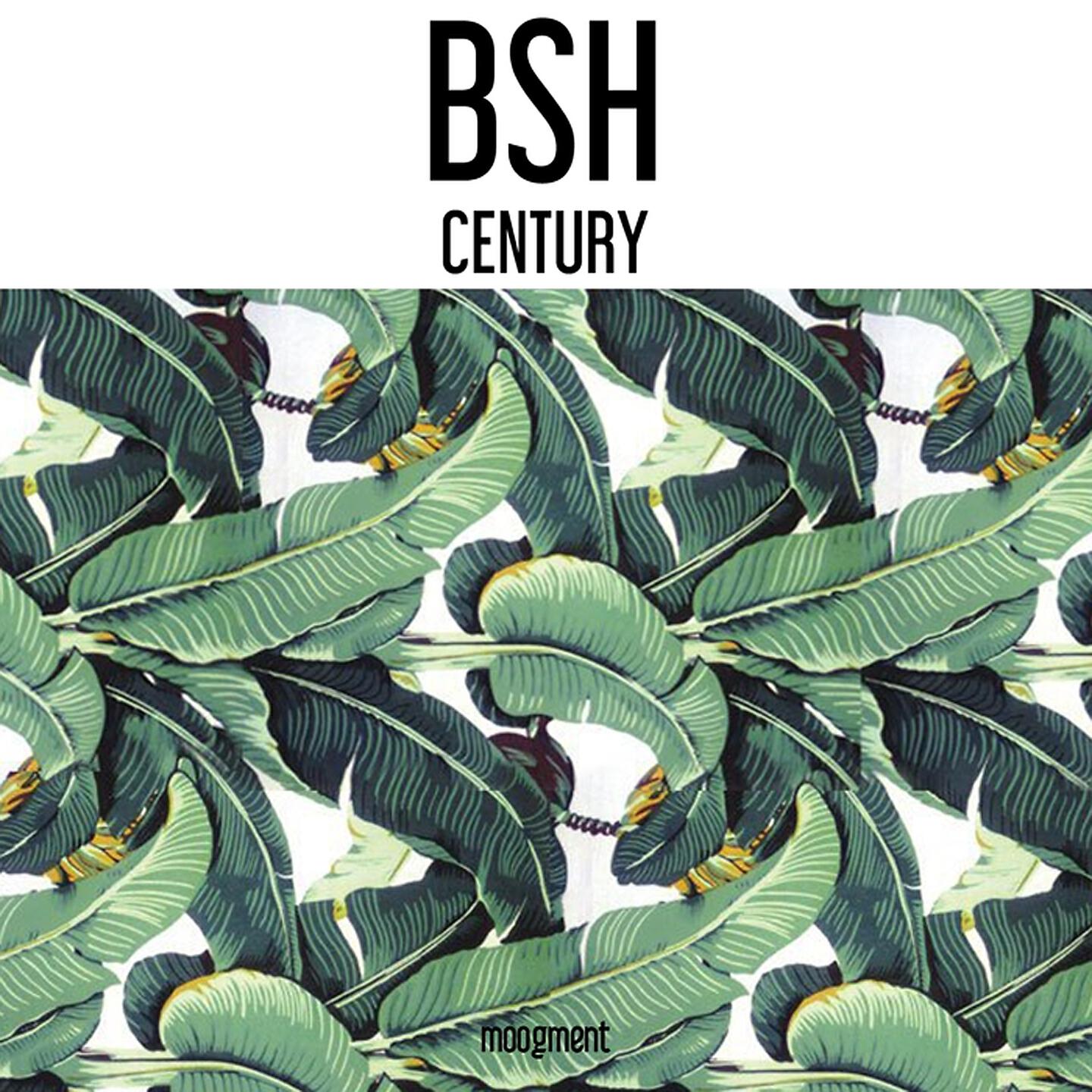 BSH - Absolution
