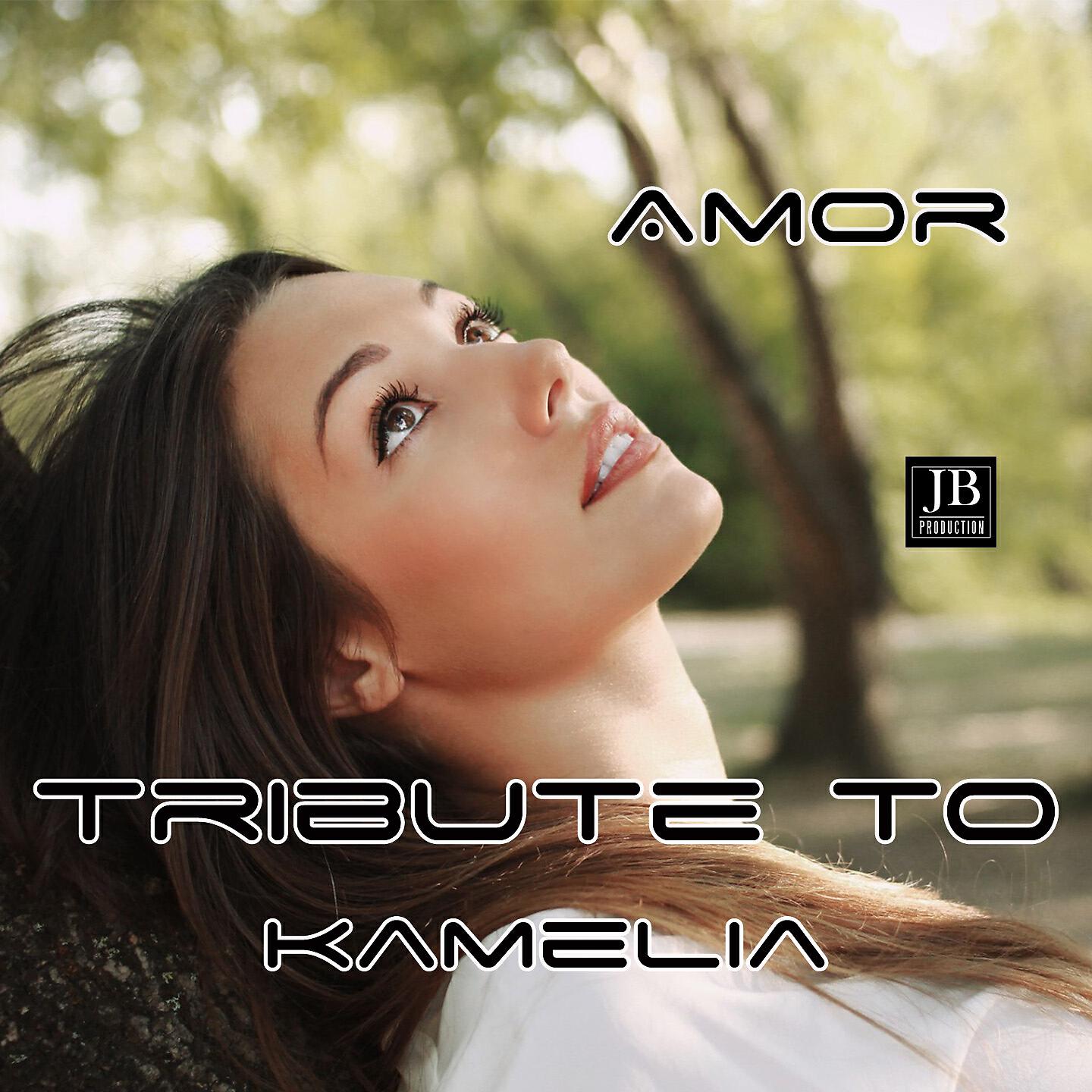Disco Fever - Amor (Tribute To Kamelia)