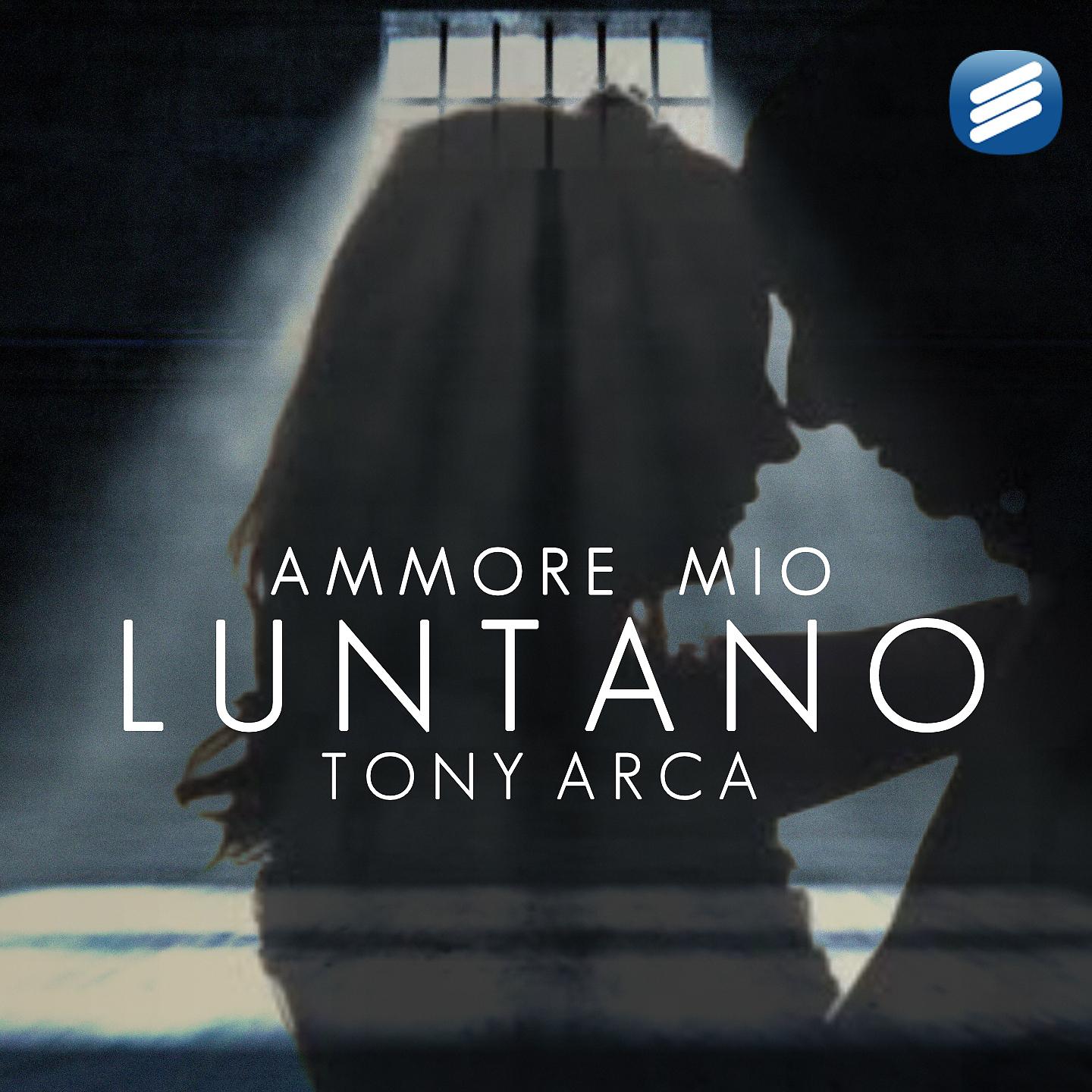 Постер альбома Ammore mio luntano
