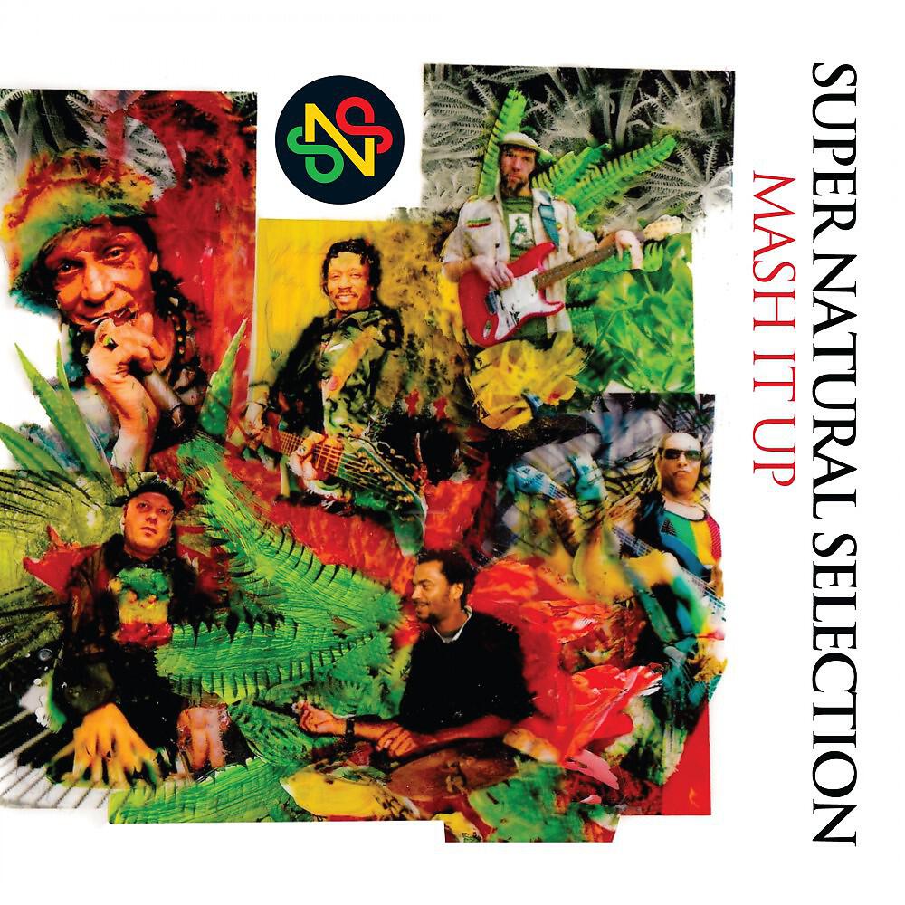Super Natural Selection - Unconquerable Lion