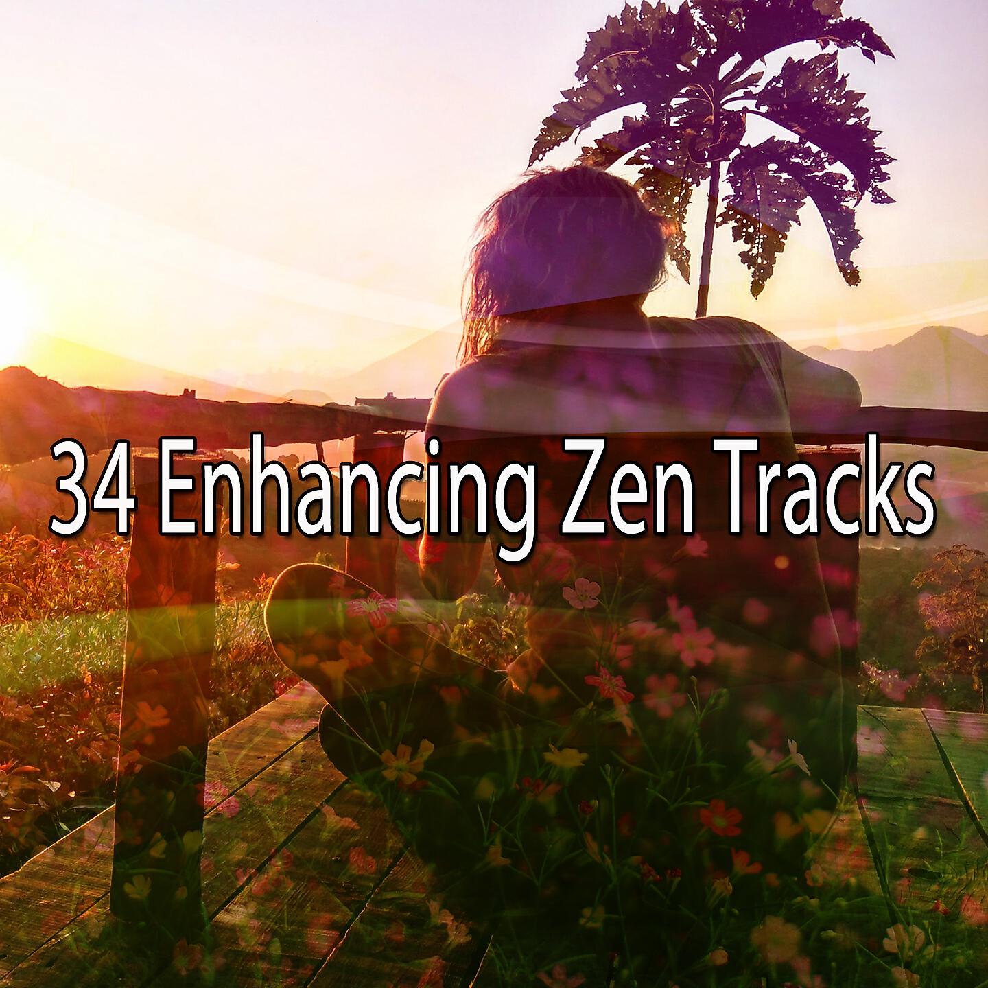 Zen Music Garden - Windy Searenity