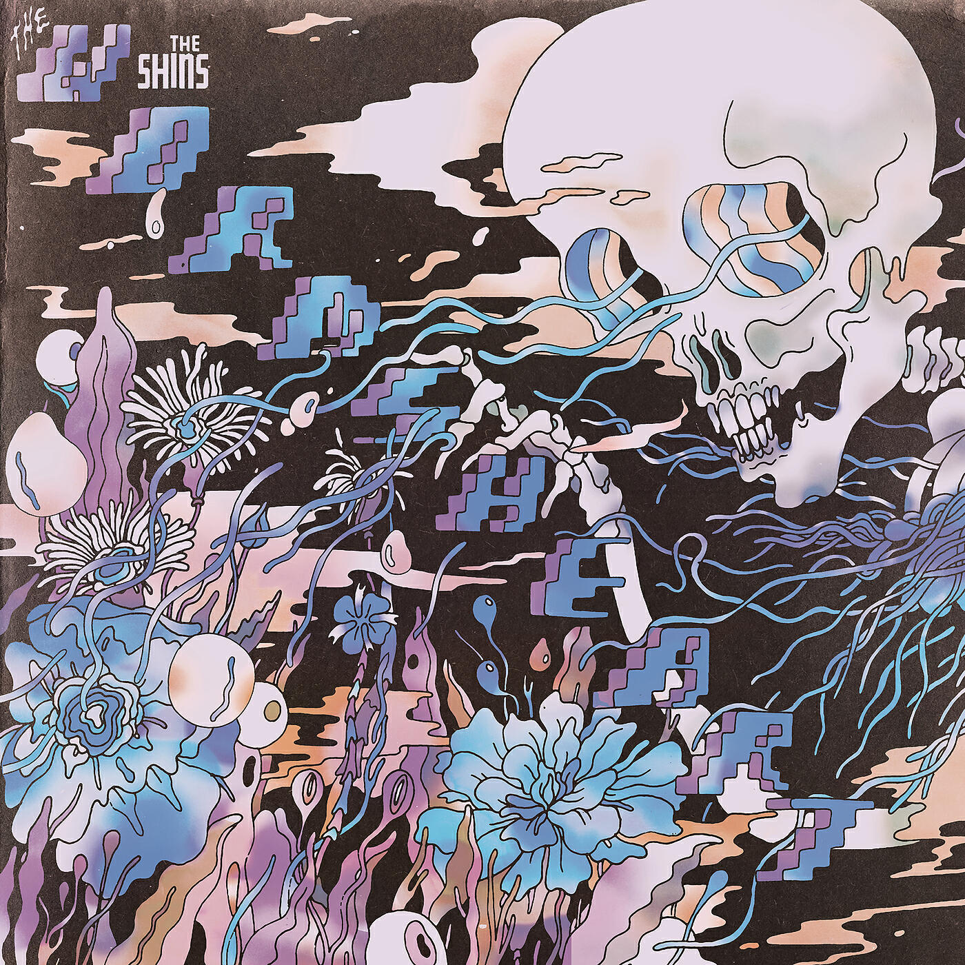The Shins - Rubber Ballz (Flipped)