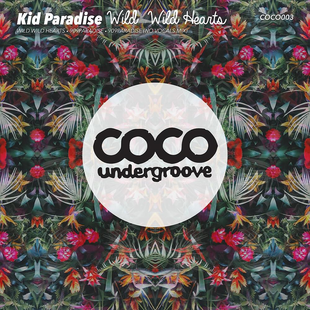 Kid Paradise - Wild Wild Hearts