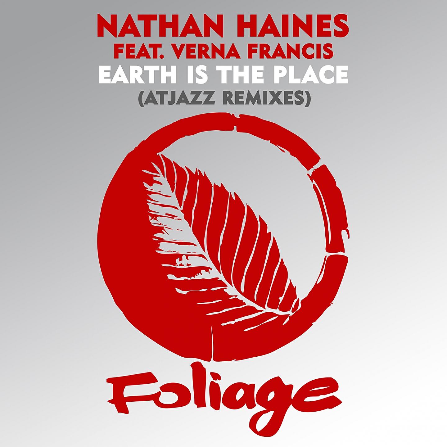 Nathan Haines - Earth Is The Place (DJ Gregory & Julien Jabre Voxy Pass)